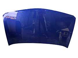 Capota Motor Renault Megane 2 2001 - 2007 [LC2387]