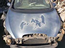 Capota Motor Seat Altea 5P NFL Non Facelift 2004 - 2009 Culoare LS5V (infoliata, matuita, puncte) [Q3120]
