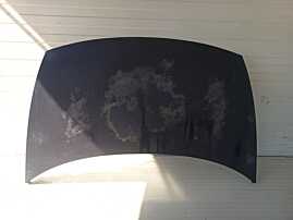 Capota Motor Citroen C3 2002 - 2009 [L1473]