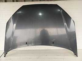 Capota Motor Ford Focus 1 1998 - 2004 [L2046]