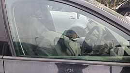 Geam Sticla de pe Usa Portiera Dreapta Fata Skoda Rapid 2012 - 2017 [C1587]