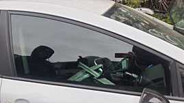 Geam de pe Usa Portiera Dreapta Fata Seat Leon 1P 2006 - 2013 [C1552]