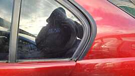 Geam Sticla Fix de pe Usa Portiera Stanga Spate BMW Seria 3 E46 1997 - 2006 [C2459]