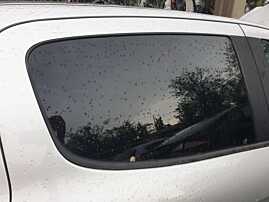 Geam Sticla Culisant de la Usa Portiera Dreapta Spate Peugeot 308 Hatchback Scurt 2007 - 2013 [Q4904]