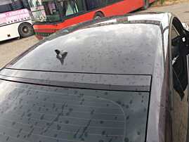 Caroserie Tavan Plafon Audi A5 Sportback 2008 - 2016